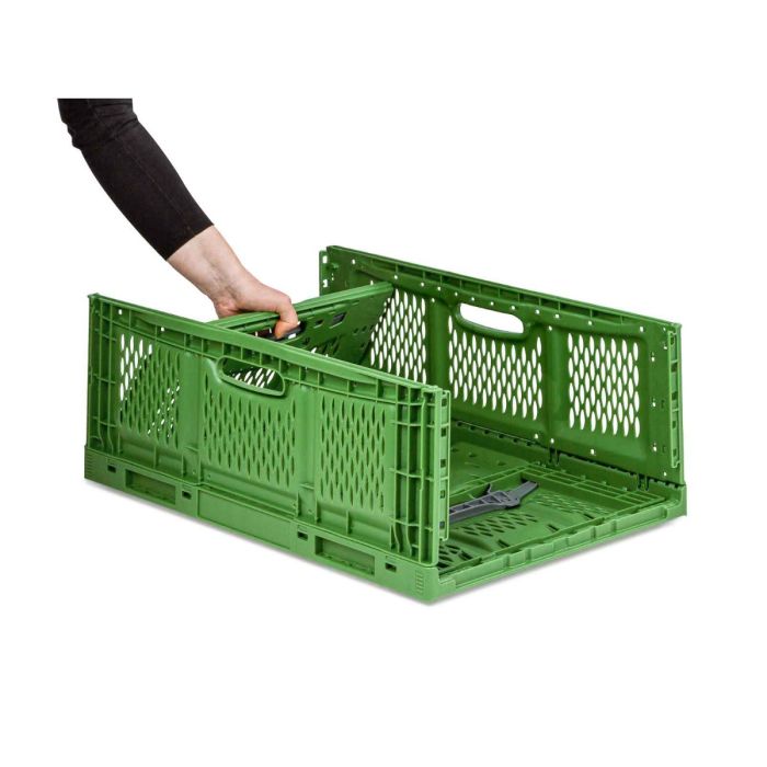 boxline  Klappbox Veggie Fresh 4318 - Gemüsekiste grün 400 x 300