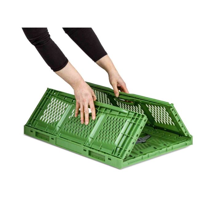 Klappbox Verdura in 400 x 300 x 180 mm kaufen