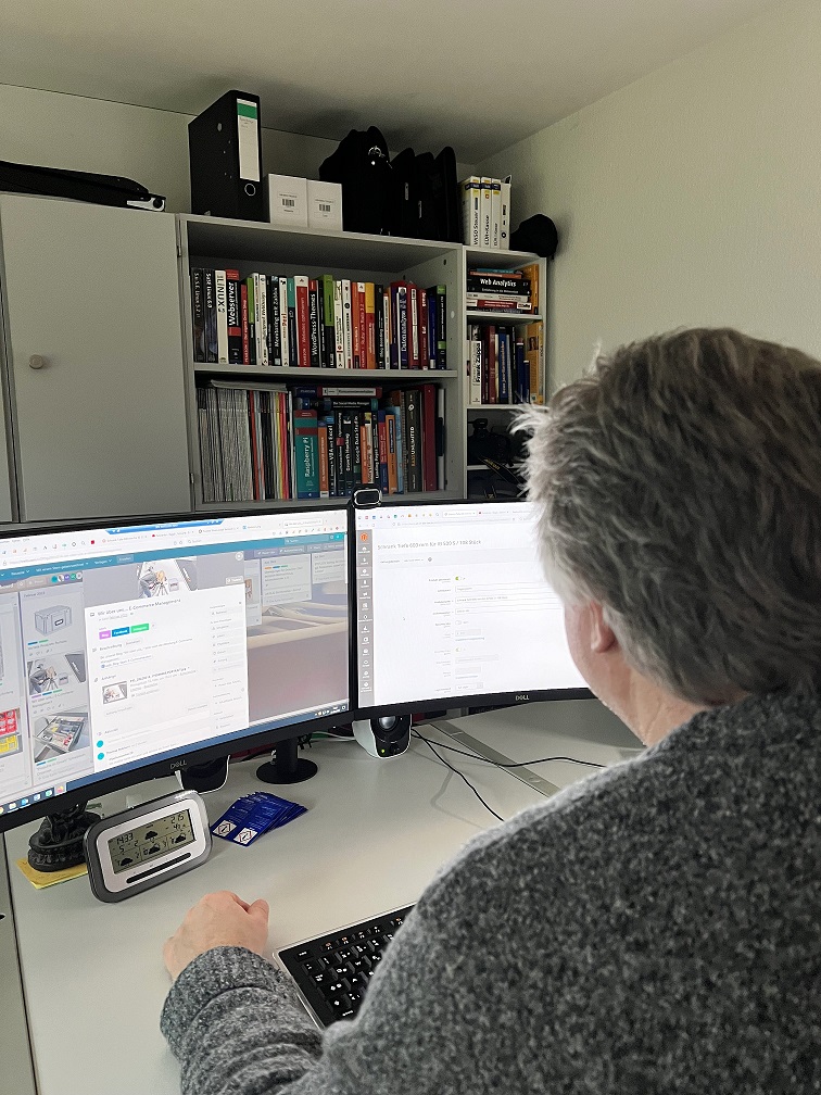 E-Commerce Manager am PC.